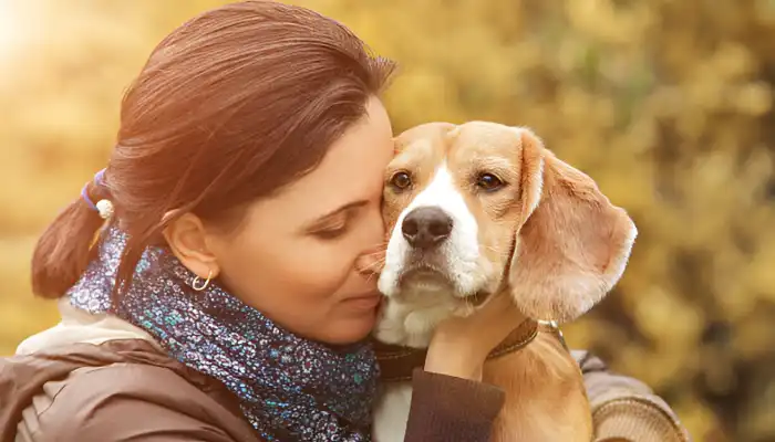 How Do Dogs Say I Love You?