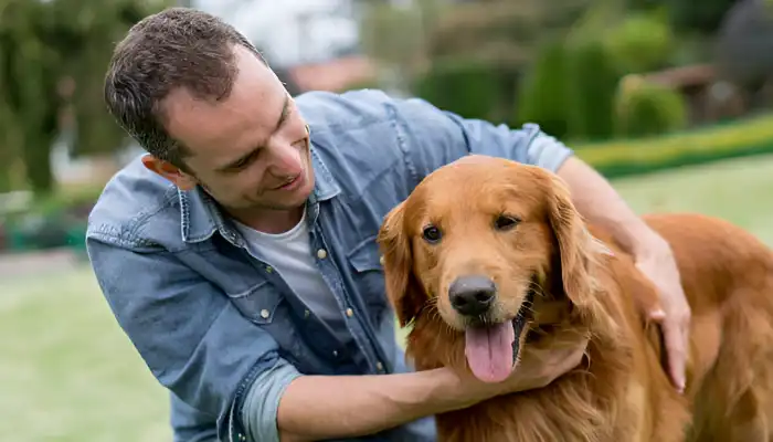 How Do Dogs Say I Miss You?