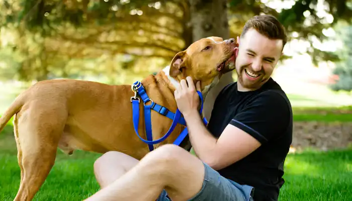 How Do Dogs Say Thank You?