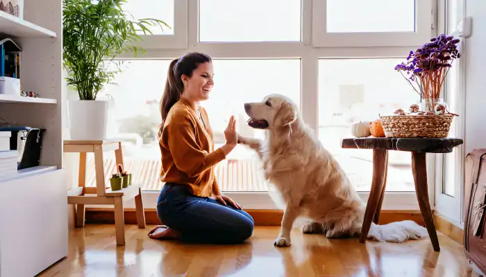 How Do You Say "Hi" in Dog Language?