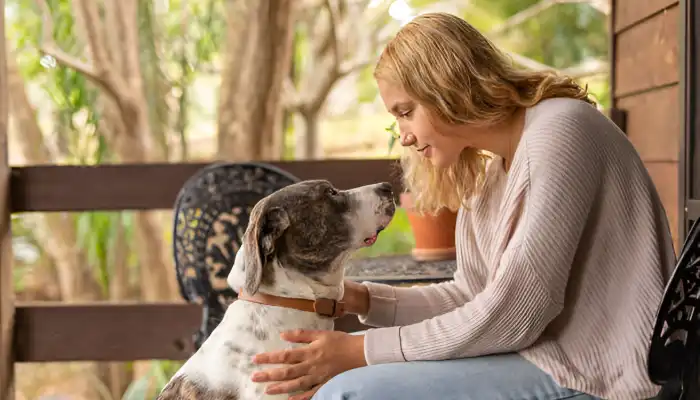 How Do You Tell a Dog You’re Sorry?