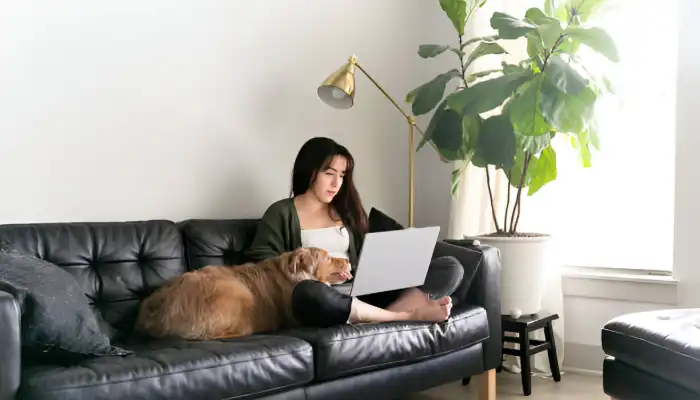 How Does a Dog Translator Work? How Does a Dog Translator Work?