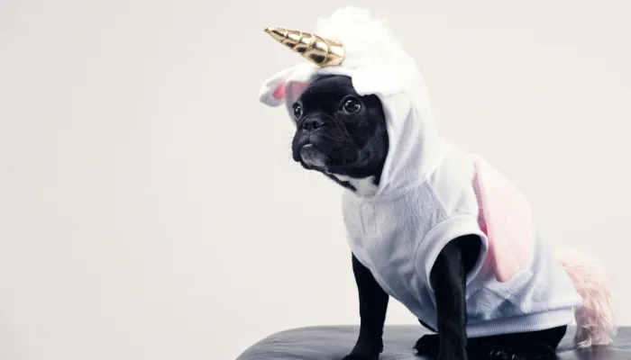 Do Dog Bark Translators Actually Work? Do Dog Bark Translators Actually Work?